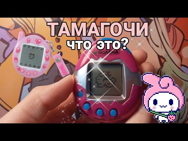 Тамагочи//что это и как играть?