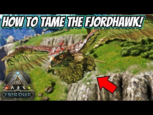 HOW TO TAME THE FJORDHAWK AND ALL OF ITS ABILITIES!! || Ark Fjordur!