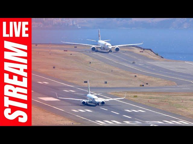  Madeira Airport LIVE WINDY Plane Spotting