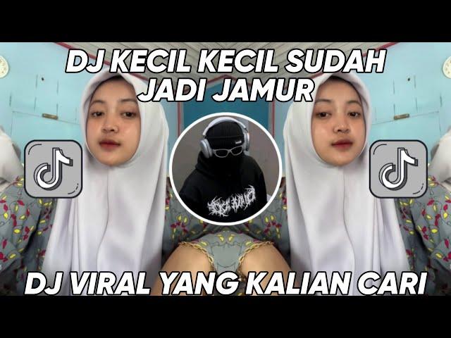 DJ KECIL KECIL SUDAH JADI JAMUR JANDA JANDA DIBAWAH UMUR VIRAL TIKTOK 2023 DJ KECIL SUDAH JADI JAMUR