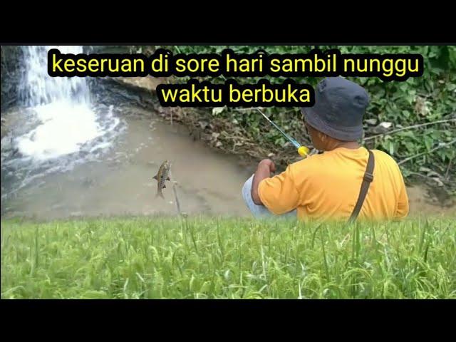 NGANGABURIT DIPINGGIR SAWAH SAMBIL NUNGGU BEDUK BERBUKA di air terjun