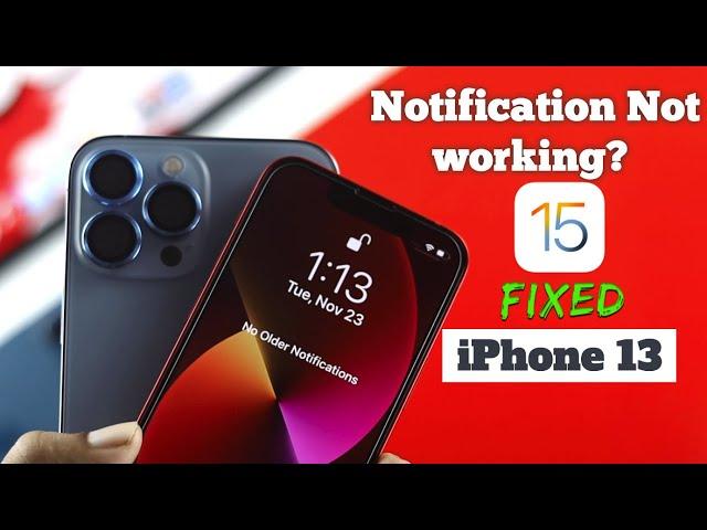 Fix- iPhone 13 Pro Max/Mini Notification Not working!