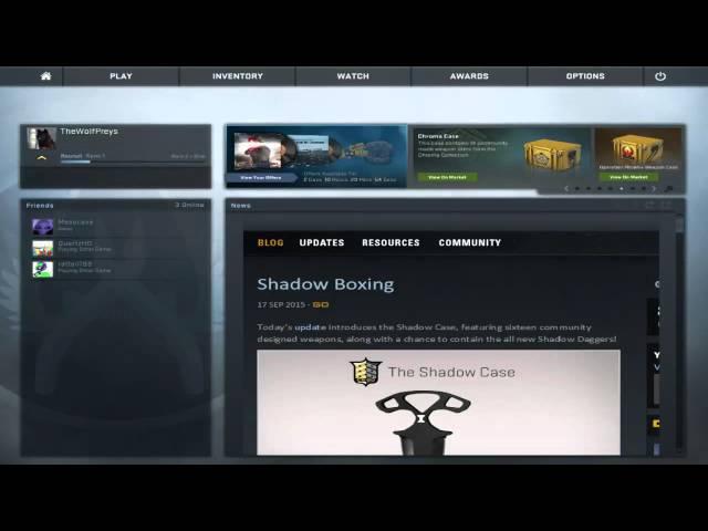 Streaming CS:GO! BIG NOOB TheWolfPreys 5pm est 1st cs:go Steam