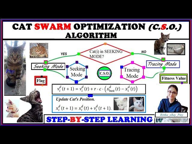 Learn Cat Swarm Optimization Algorithm | STEP-BY-STEP | Explanation ~xRay Pixy