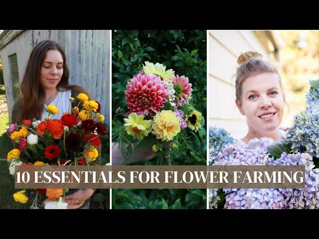 10 Essentials for Starting a Backyard Cut Flower Farm  Starting a Flower Farm in Australia