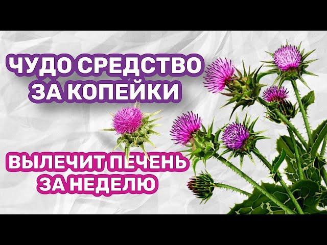 ПЬЮ И ОЖИВАЮ . КОПЕЕЧНОЕ СРЕДСТВО БЫСТРО ВОССТАНОВИТ ПЕЧЕНЬ!