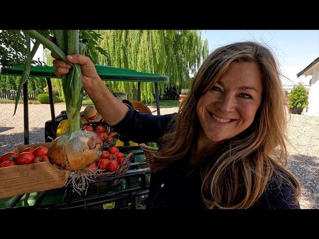 Harvesting Tomatoes, Peppers & Onions! 🫑 // Garden Answer