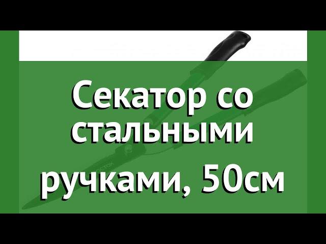 Секатор со стальными ручками, 50см (Росток) обзор 423555 производитель Зубр ОВК (Россия)