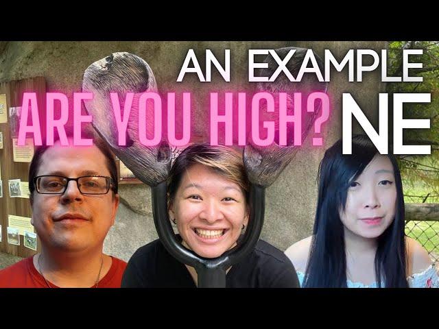 ARE YOU HIGH or is it just Ne? | Extraverted Intuition Cognitive Function | INFP & ENFP Enneagram 9