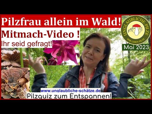 Pilzfrau allein im Wald -Quiz & Mitmach video! Ihr seid gefragt! Was macht der Hauswald?