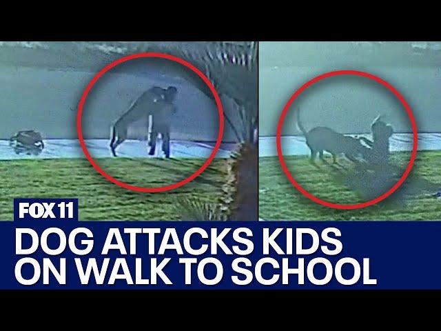 Dog attacks two young kids on walk to school