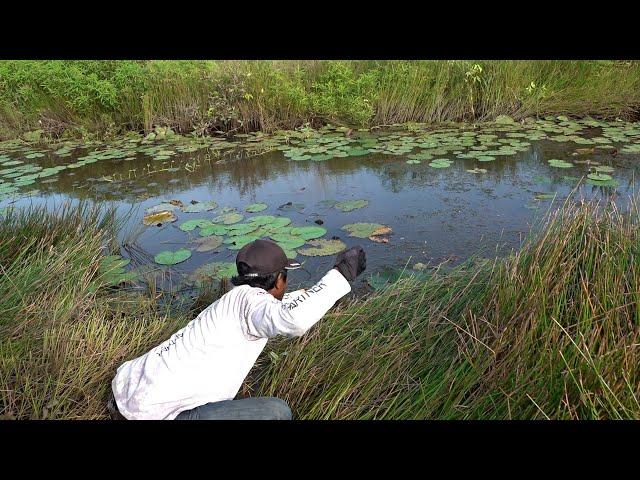 Gilak si Umpan pemancing baru turun airnya langsung mendidih #SG-385