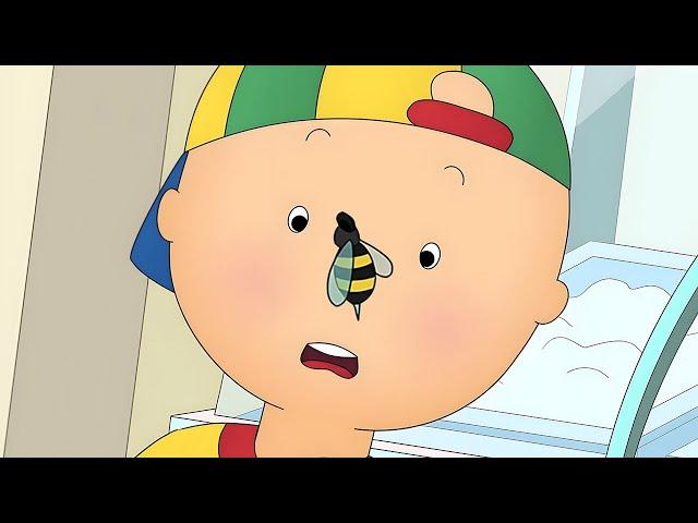 Caillou and the Bee | Caillou - WildBrain