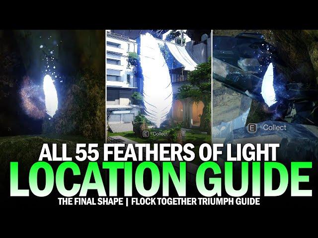 All 55 Feathers of Light in The Pale Heart - Complete Guide (Flock Together Triumph) [Destiny 2]