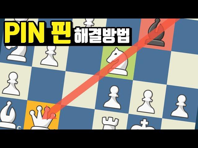 Bg4 비숍 핀을 푸는 4가지 방법(체스 기초강의)