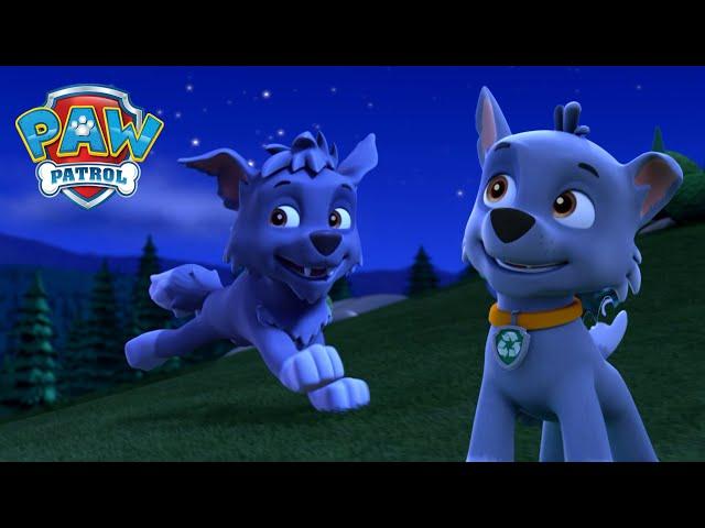 Los cachorros se van de campamento y Rocky sueña que es un cachorro lobo salvaje PAW Patrol Español