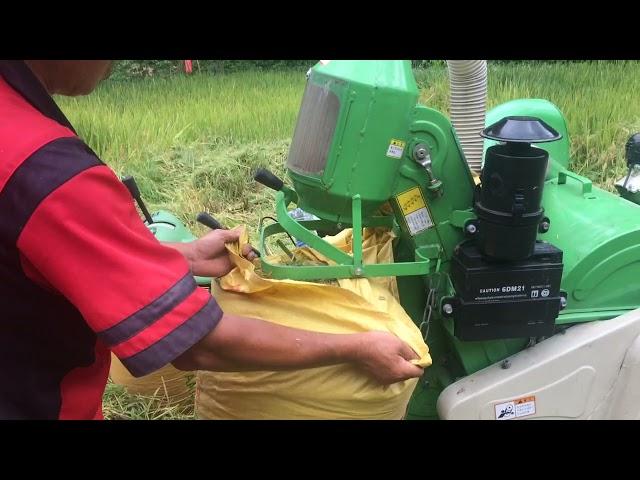 Shineray rice combine harvester