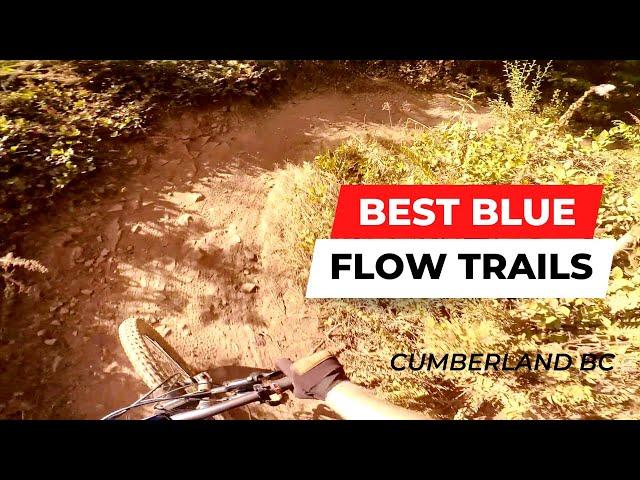 BEST Blue MTB Trails | Cumberland BC
