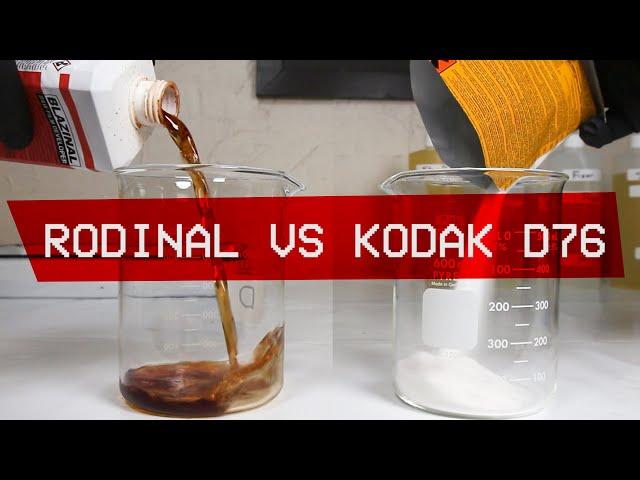Rodinal VS Kodak D-76 with Tri-X and Dektol Side By Side Comparisons