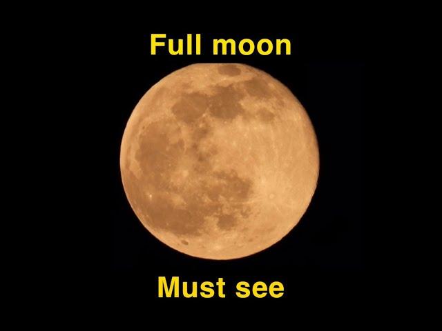 Full moon telescope view Nikon p1000  4k HDR