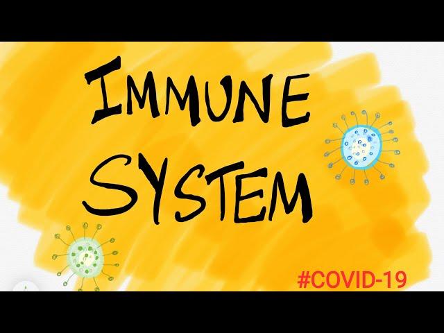 How to strengthen your immunity / The BrainGain / #immunity #immunesystem #covid-19