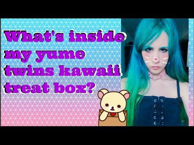 What's inside my surprise YumeTwins kawaii treat box?