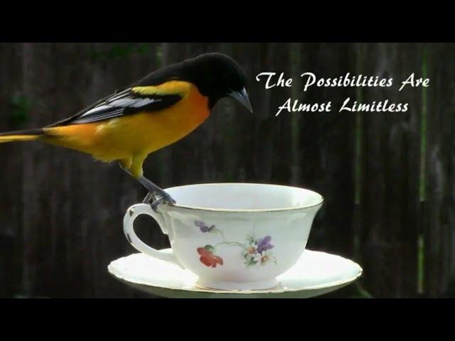 How To Make A DIY Decorative Oriole Feeder - Step by Step.