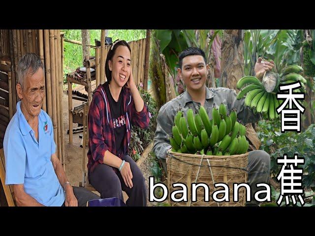 Ly Phuc Hang's Expansive Farm Visit: A Bumper Year for Bananas! SUNG A PAO