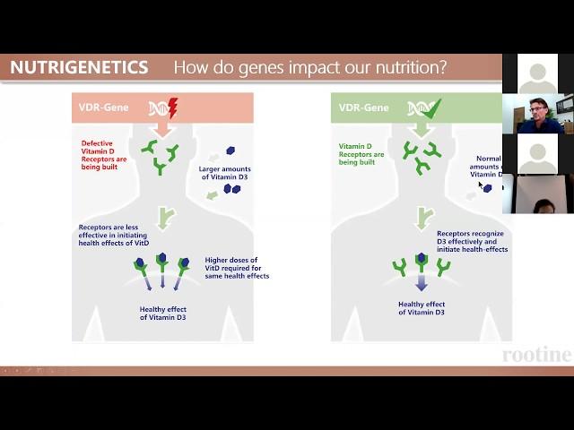 Understanding The VDR Gene and Vitamin D