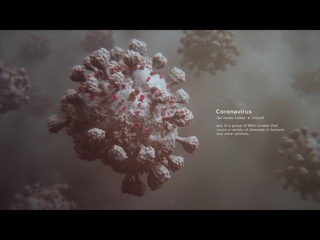 The Coronavirus Outbreak | Random42 Scientific Communication