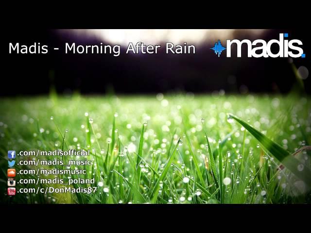 Madis - Morning After Rain (2013)