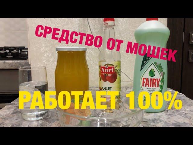 Как избавиться от мошек на кухне | Средство против дрозофила