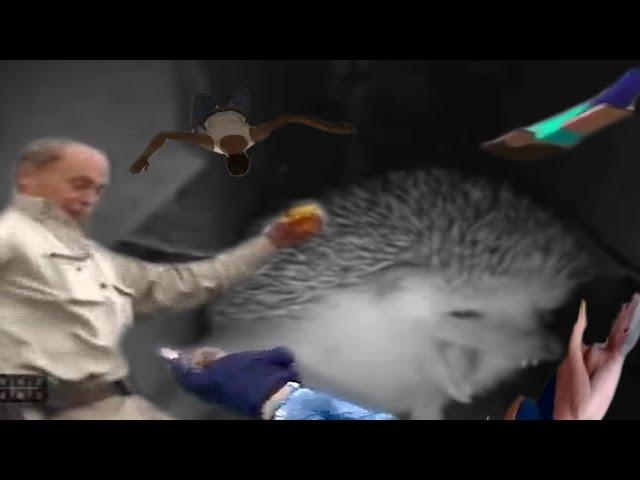 hedgehog sneezed everyone started to falls down