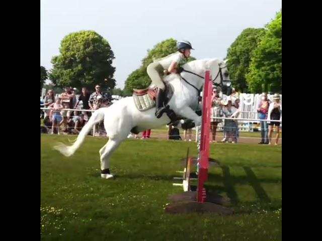 Harlow and Panda at Royal Norfolk Show  :: #Harlowlunawhite