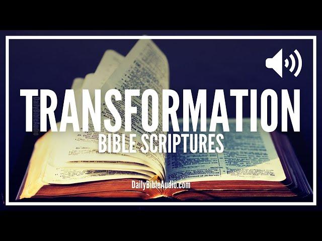 Bible Verses About Transformation | What The Bible Says About Being Transformed and Transformation