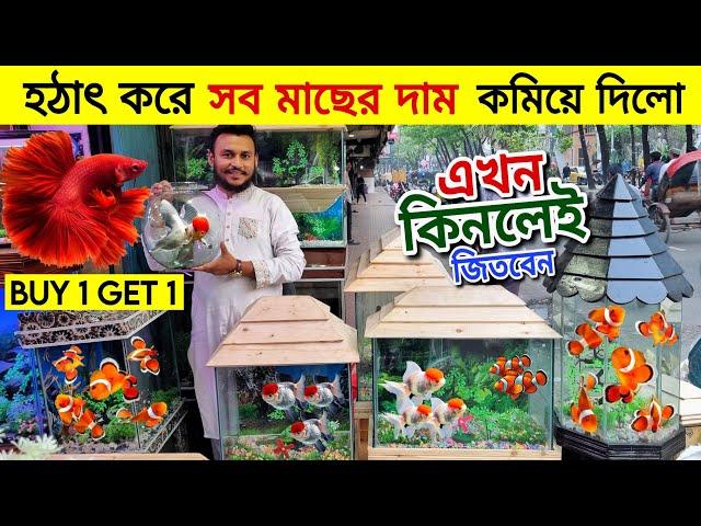 Aquarium Price In Bangladesh Aquarium Fish Price In Katabon  Fish Wholesale Shop In Katabon