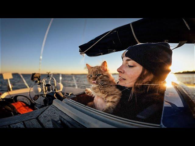 Day in the life living on a free Sailboat | Ep 10