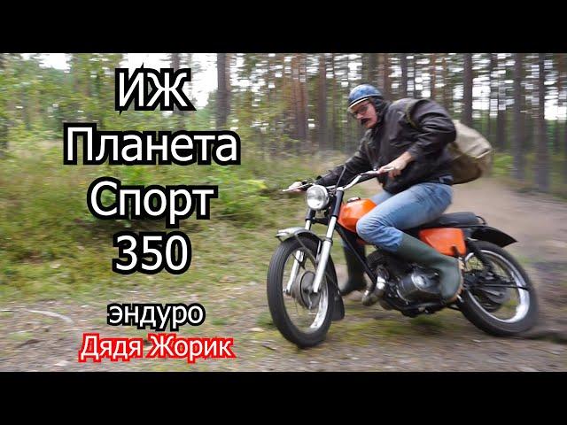 ИЖ Планета Спорт 350 /оранжевая мечта / эндуро / Дядя Жорик в лесу