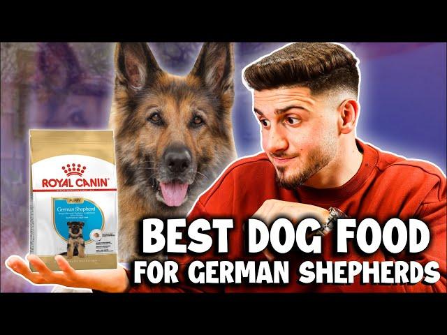 Top 3 Best Dog Foods For German Shepherds