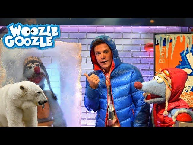 Welche Tiere leben in der Arktis? l WOOZLE GOOZLE