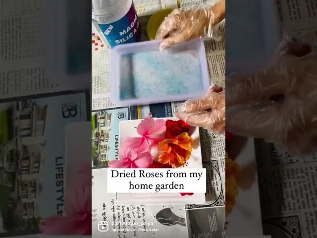 Dry flower for Resin/ how to use Silica gel/ Dry your own roses/ Resin art/ dry resin flowers