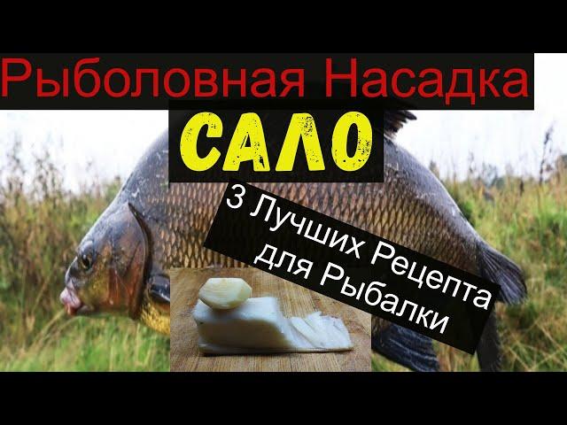 Супер Рыболовная Насадка -САЛО- 3 ЛУЧШИХ РЕЦЕПТА ДЛЯ РЫБАЛКИ. bait for carp.bait for bream.