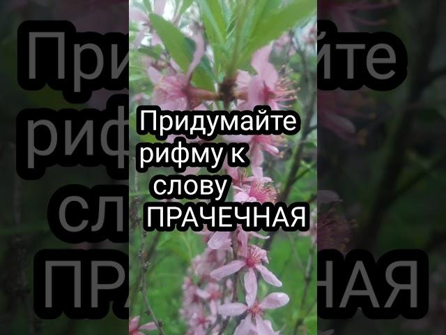 Придумайте рифму#головоломка#загадка#приколы#юмор#шутка#puzzle#рифма#прачечная