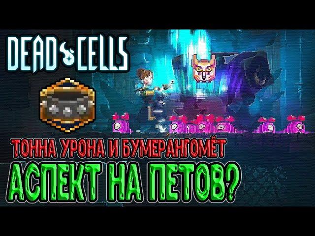 Аспект Ветеринар - урон за петов / +1 боеприпас на Бумеранге / Dead Cells Practice Makes Perfect