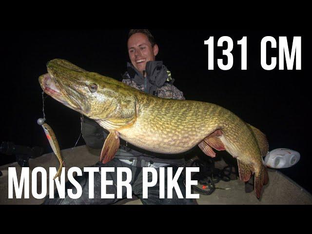 MONSTER PIKE 131cm when Pelagic Fishing Berkley Sick Vamper