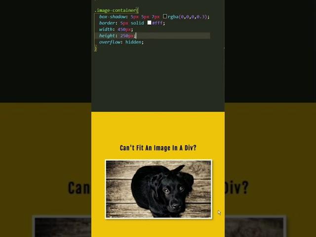 Learn To Fit An Image Inside A Div ! #css #ui #coding