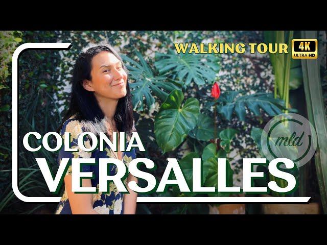 PUERTO VALLARTA MEXICO 2024   COLONIA VERSALLES | 4K WALKING TOUR