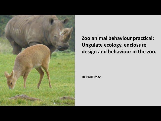 Zoo animal behaviour practical: Ecology, enclosure design and activity patterns