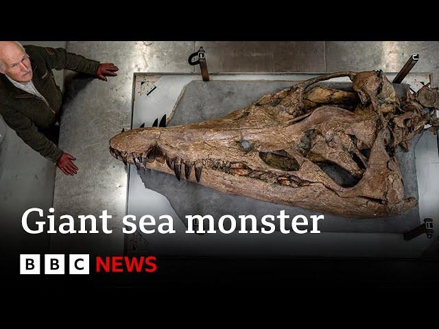 Colossal sea monster unearthed in UK - BBC News