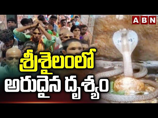 శ్రీశైలంలో అరుదైన దృశ్యం | Srisailam Temple | Shiva Lingam | ABN Telugu